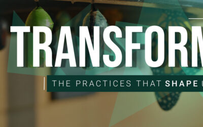 Transform: The Practices That Shape Us